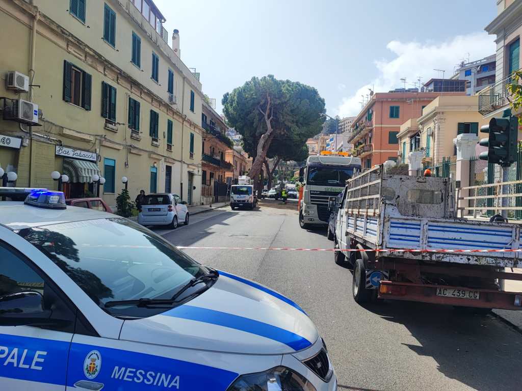 Viale Italia albero a rischio crollo