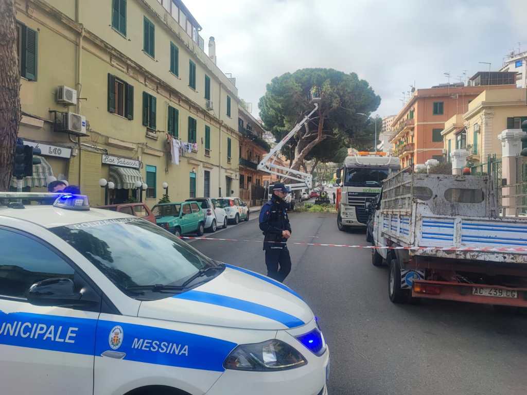 Viale Italia albero a rischio crollo