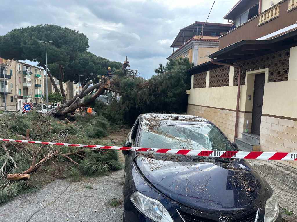 crollo albero giostra