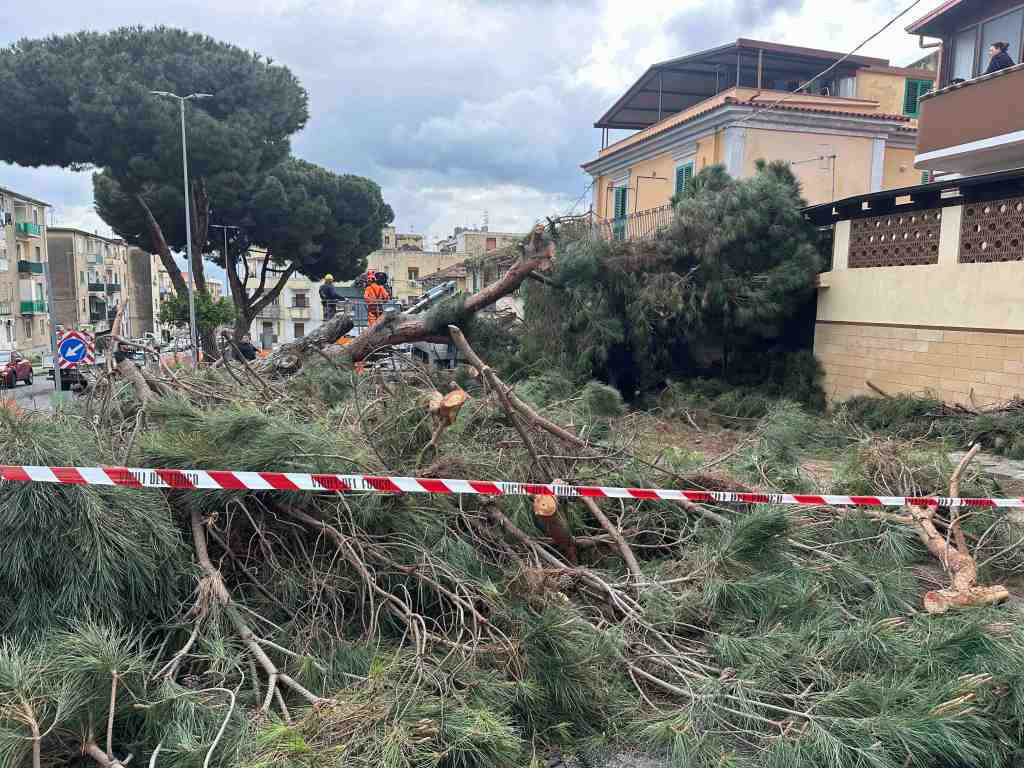 crollo albero giostra