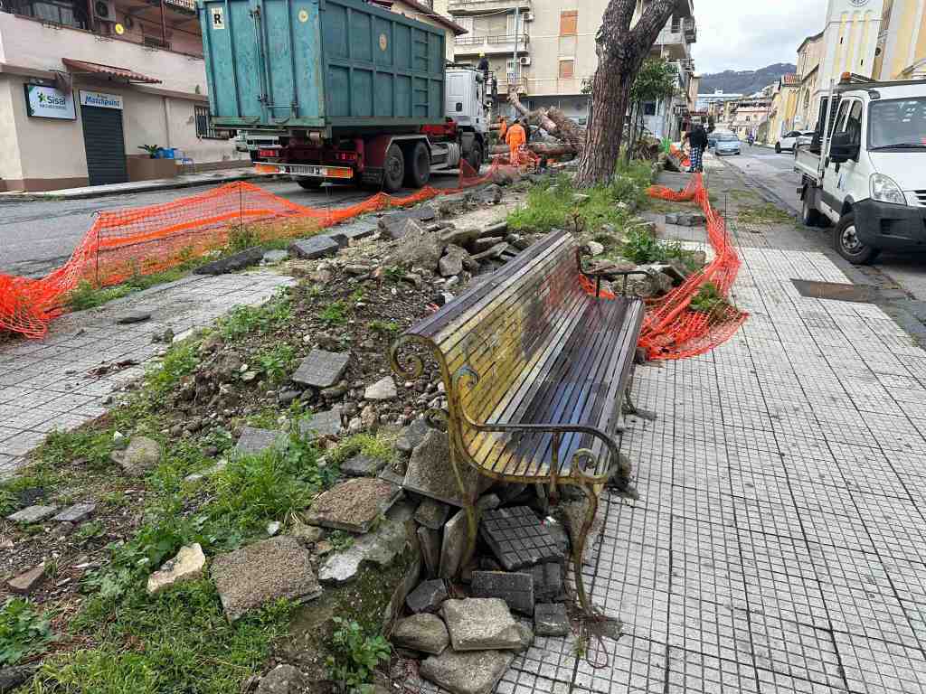 crollo albero giostra