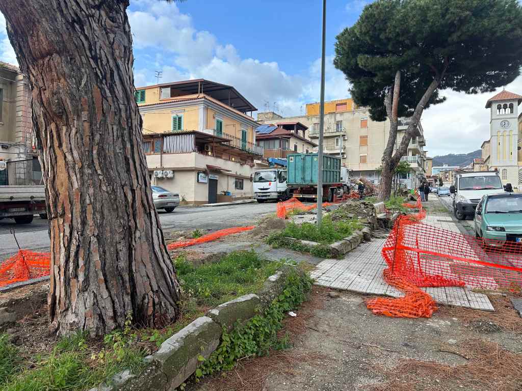 crollo albero giostra