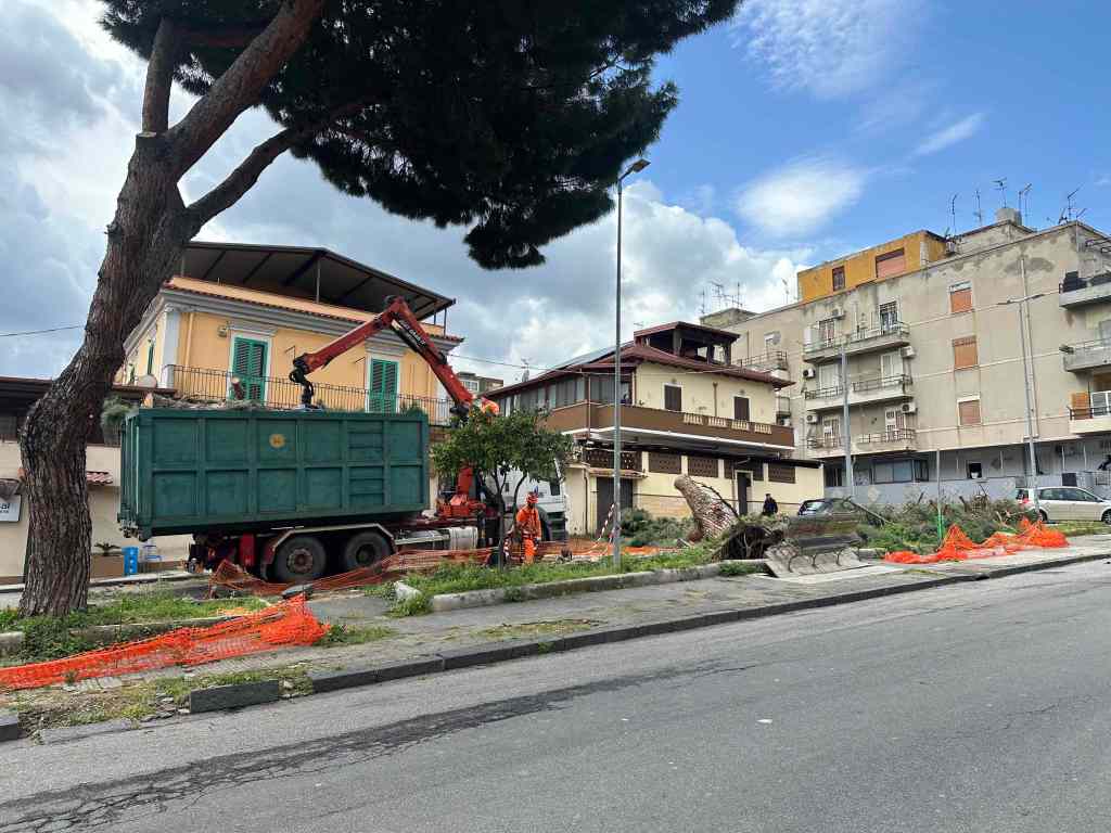 crollo albero giostra