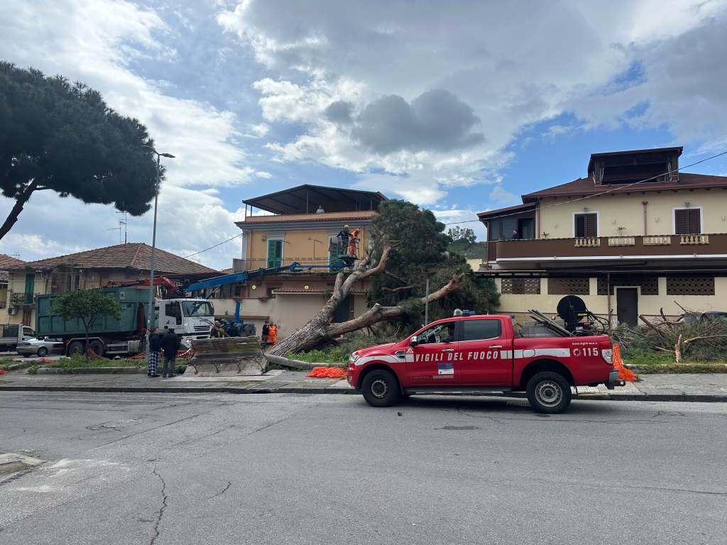 crollo albero giostra