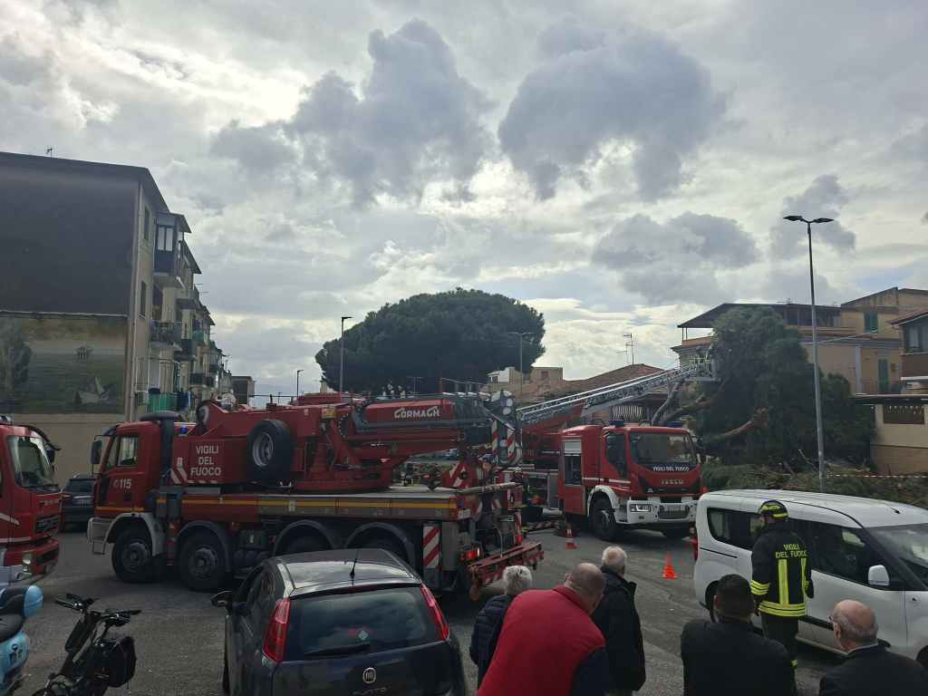 albero crollato in via monte scuderi