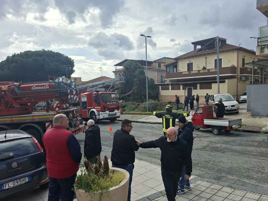 albero crollato in via monte scuderi