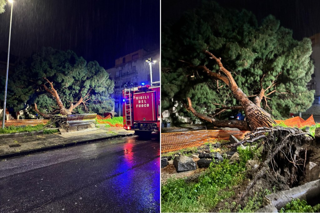 albero crollato in via monte scuderi