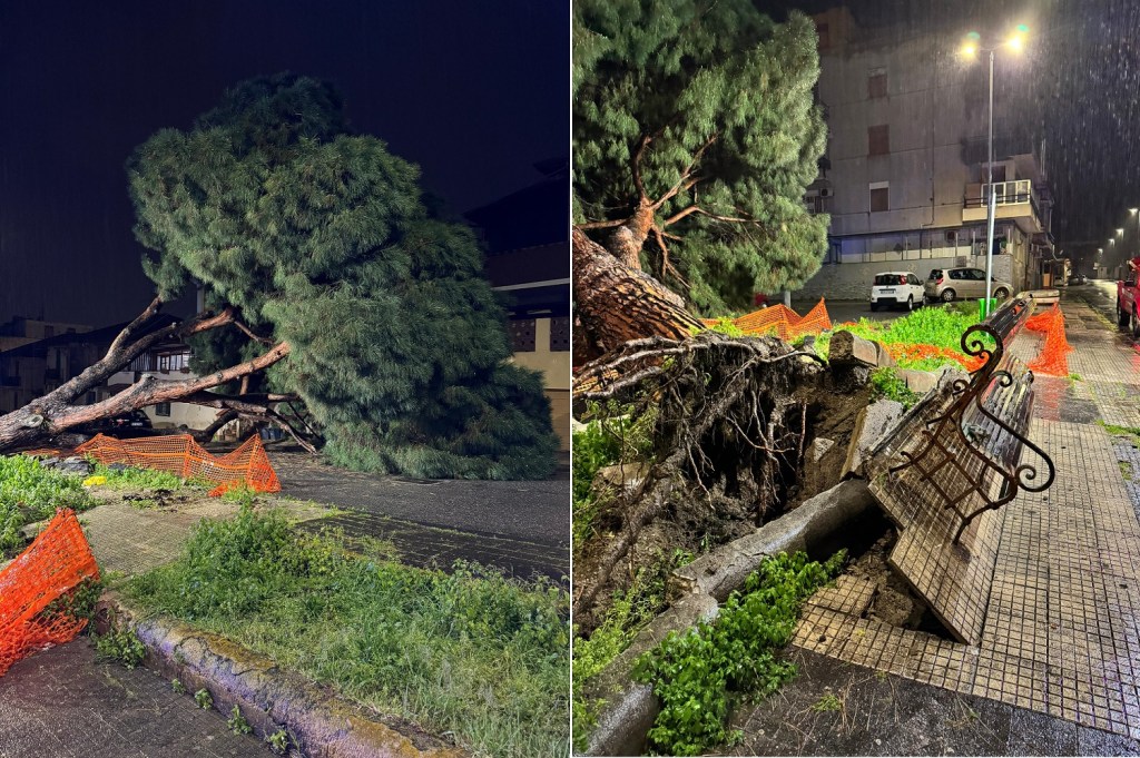 albero crollato in via monte scuderi