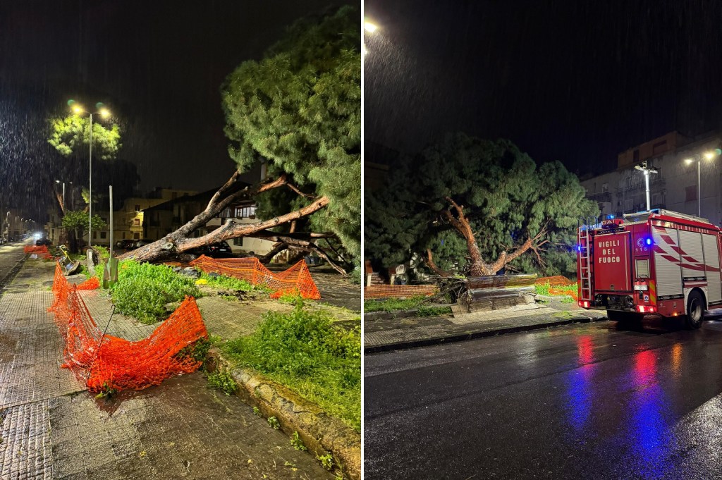 albero crollato in via monte scuderi