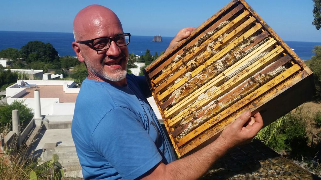 Il signore delle api (nere), per salvarle bisogna che si estinguano