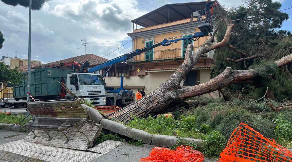 crollo albero giostra
