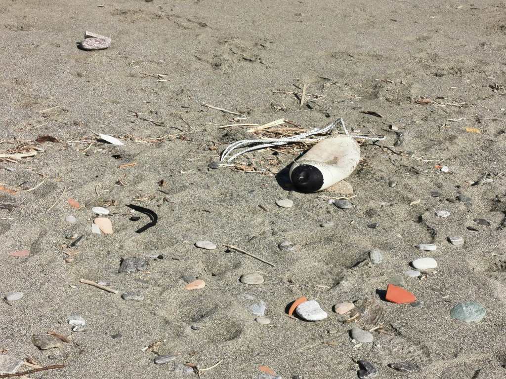 rifiuti spiaggia santa margherita