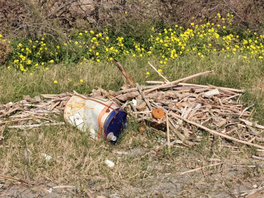 rifiuti spiaggia santa margherita