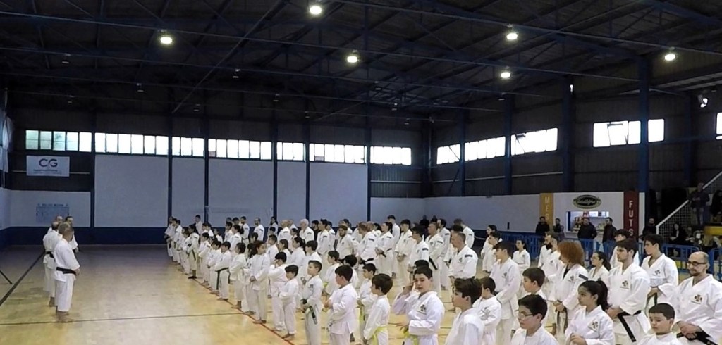 shorinji kempo