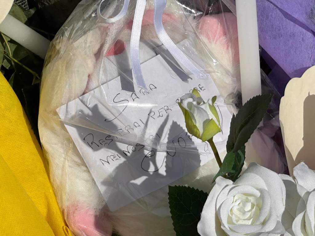 aiuola sara viale gazzi