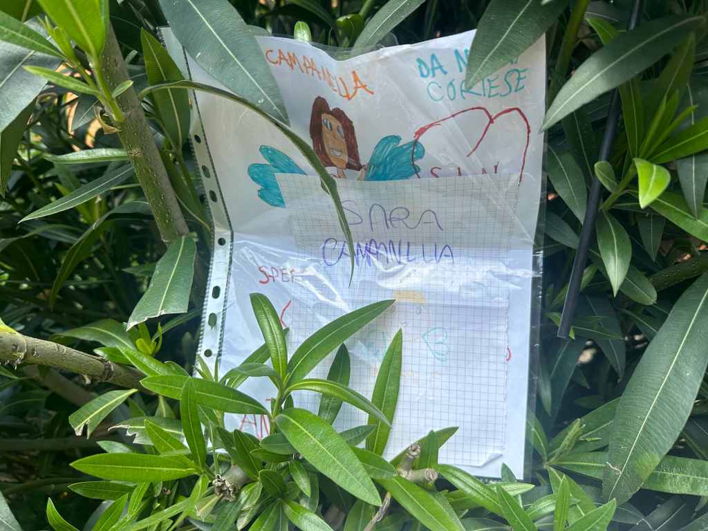 aiuola sara viale gazzi