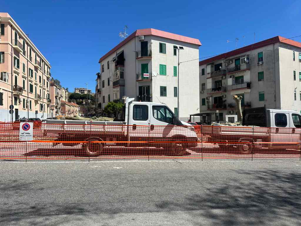 alberi viale giostra abbattuti