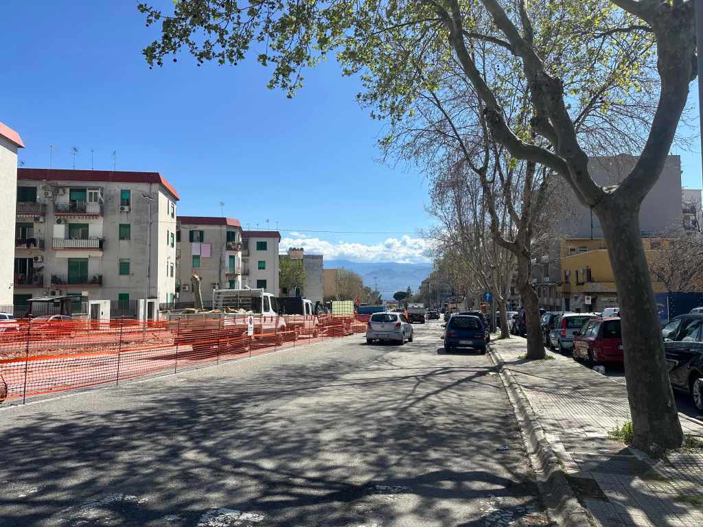alberi viale giostra abbattuti