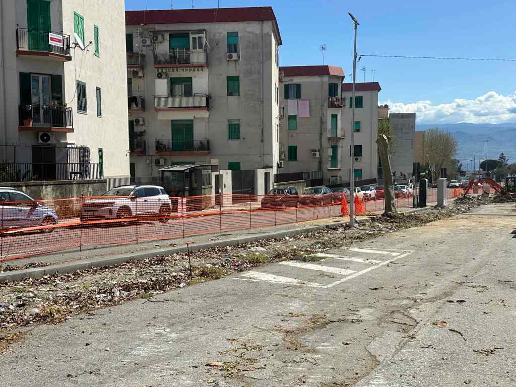 alberi viale giostra abbattuti