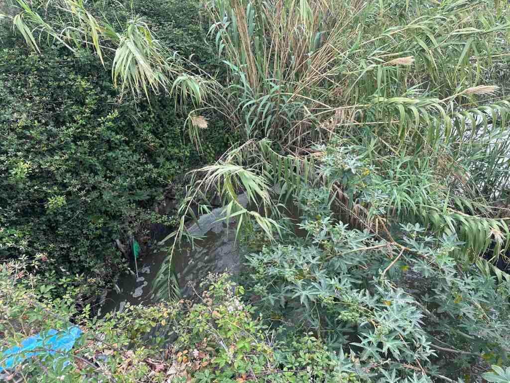 foce torrente giostra