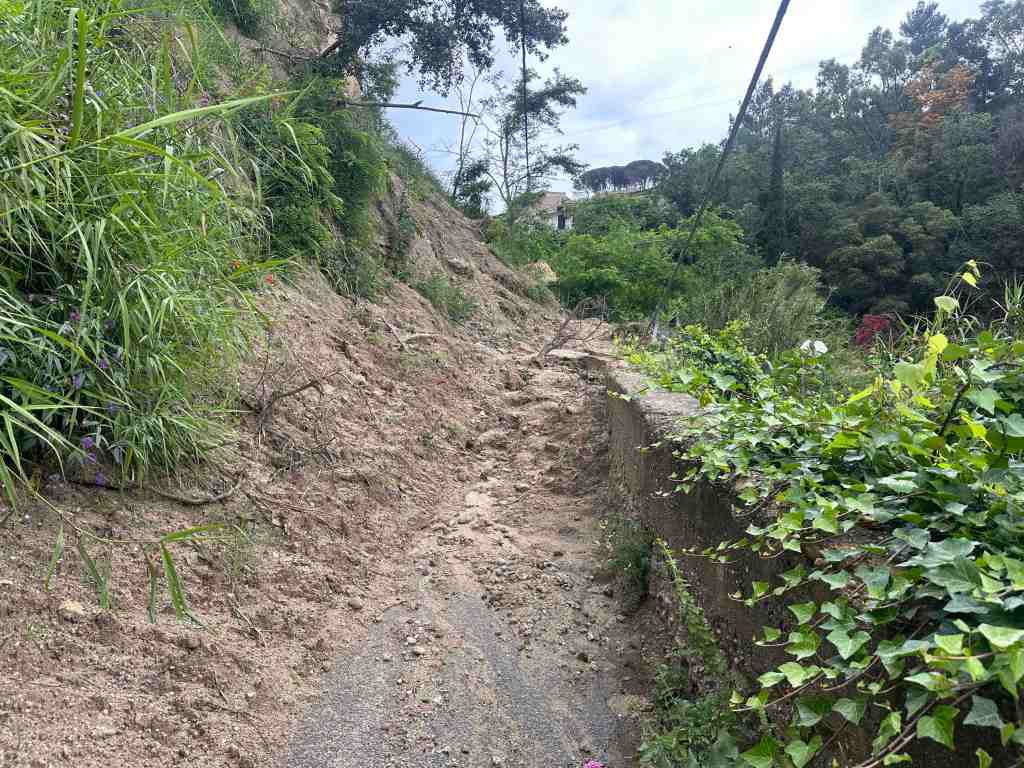 frana Scoppo ordinanza famiglia