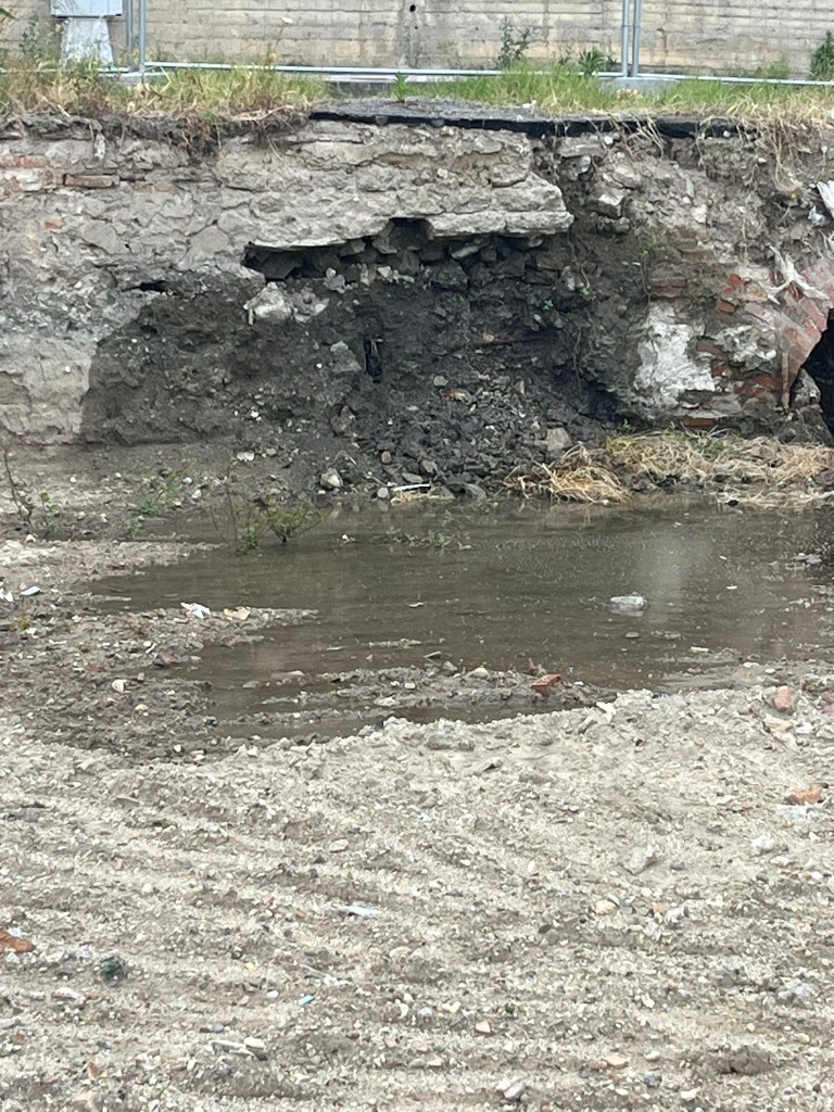 perdita fondo basile