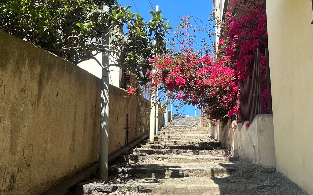 scalinata parco aldo moro