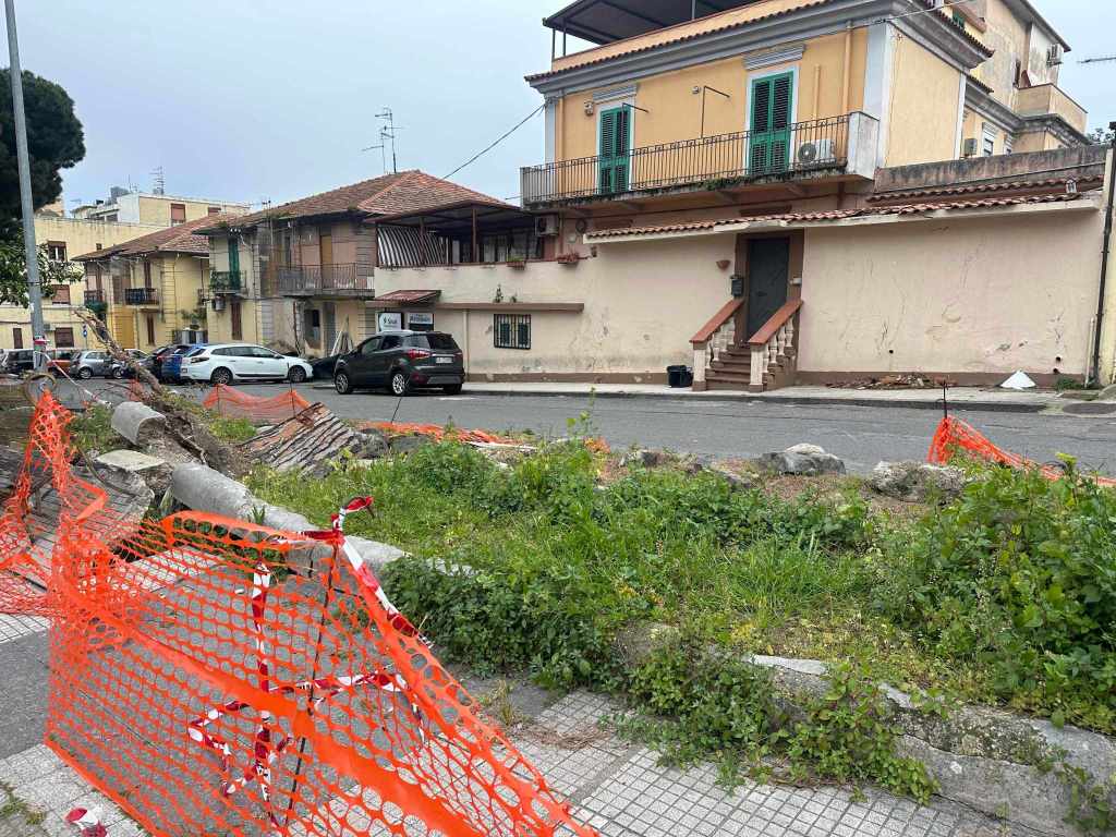 alberi via montescuderi