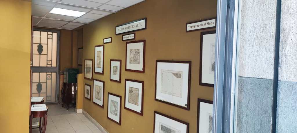 musme museo storia naturale