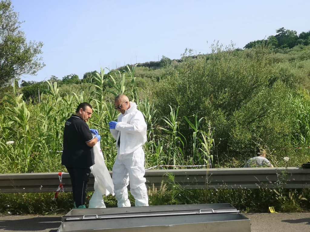 Ris a pace del mela omicidio 06062025