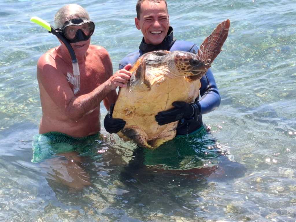 Tartaruga al Villaggio Unrra