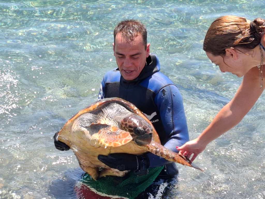 Tartaruga al Villaggio Unrra