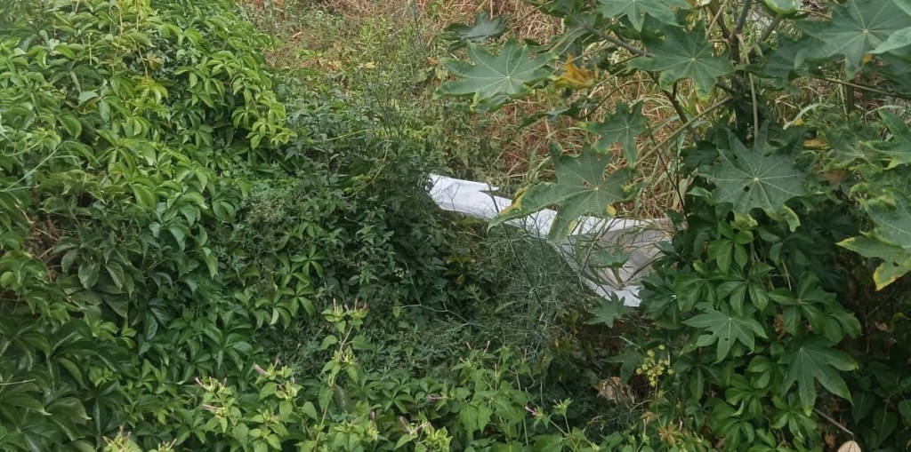 torrente bisconte catarratti