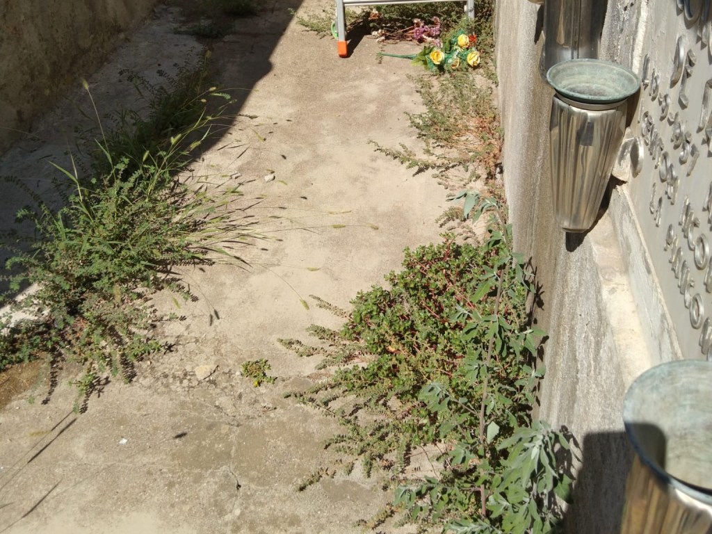 Cimitero di Pezzolo dopo incendio