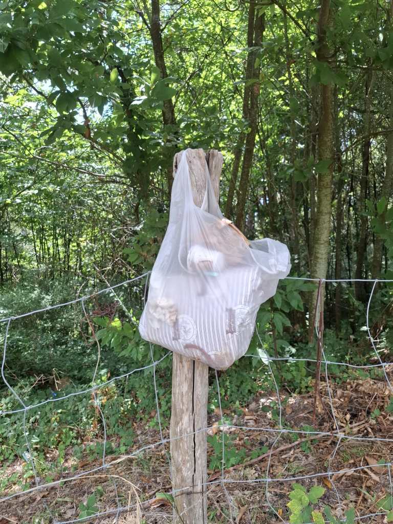 Rifiuti ai Colli San Rizzo