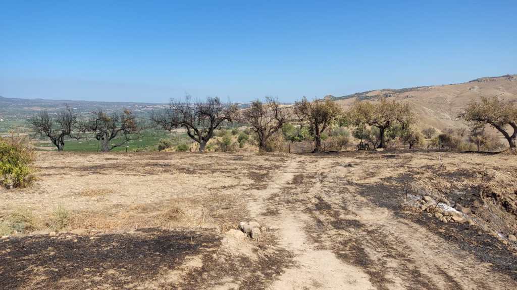 Il Deserto di Sicilia è in ginocchio: devastati i Calanchi del Cannizzola.