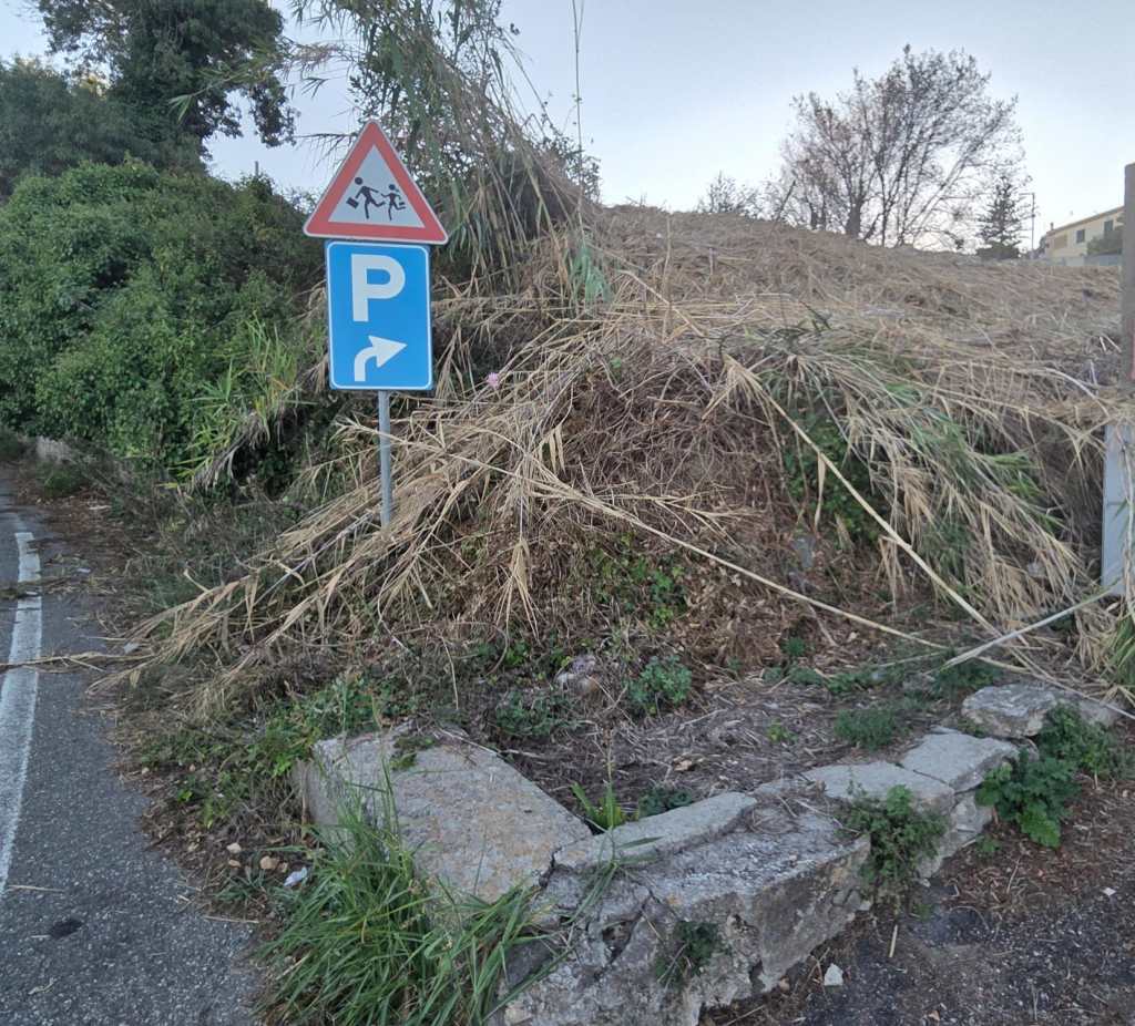 Castanea, palme disordinate intorno a una villetta