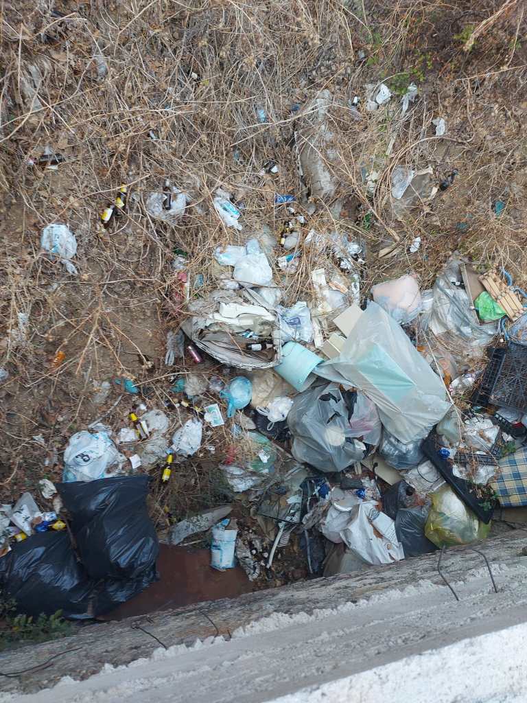 Rifiuti in strada