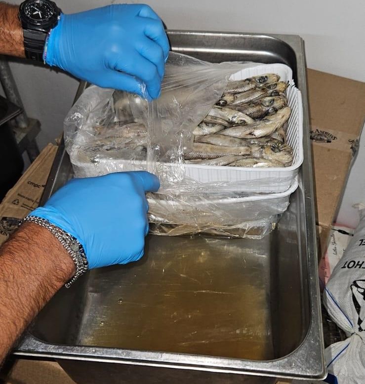 Controlli Guardia costiera