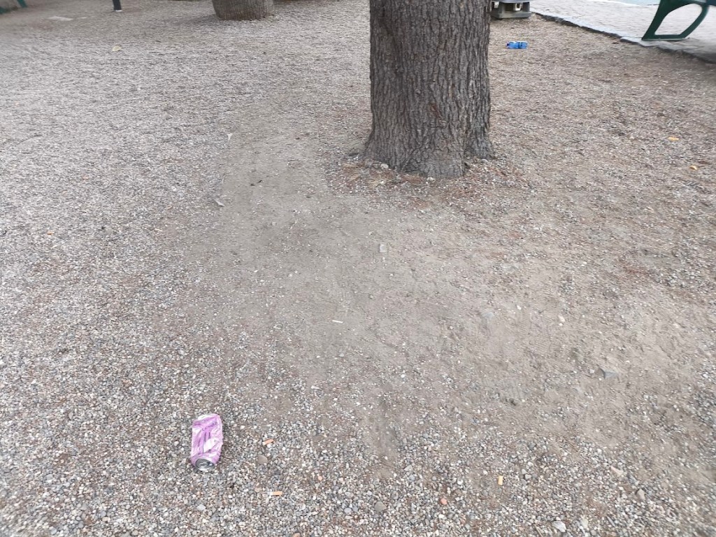 rifiuti area giochi villa dante