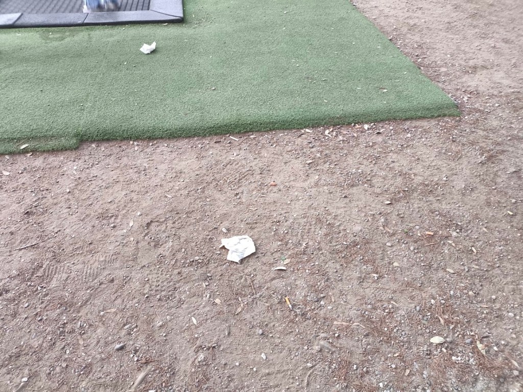 rifiuti area giochi villa dante