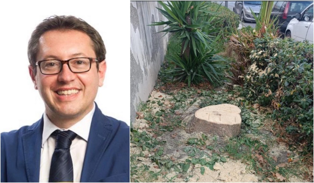 Antonio Garufi albero tagliato roccalumera