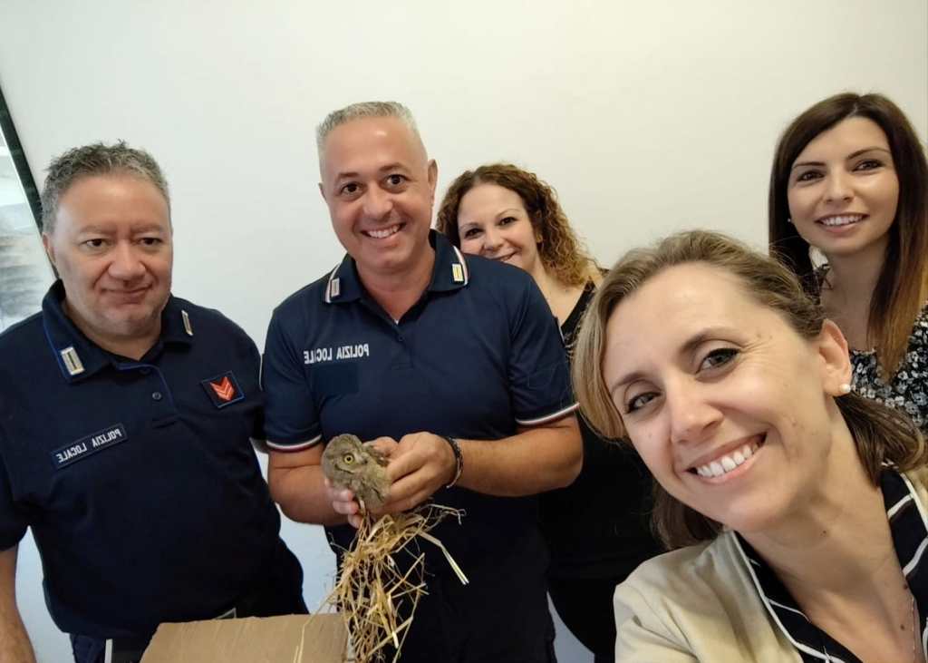 Assiolo in difficoltà nel cortile della scuola, i bambini lo recuperano