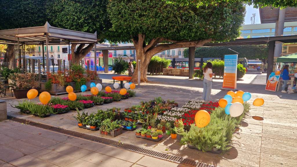 amici dei bimbi in corsia