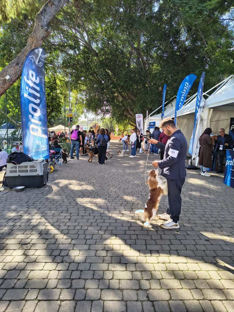 esposizione canina villa dante messina ottobre 2025