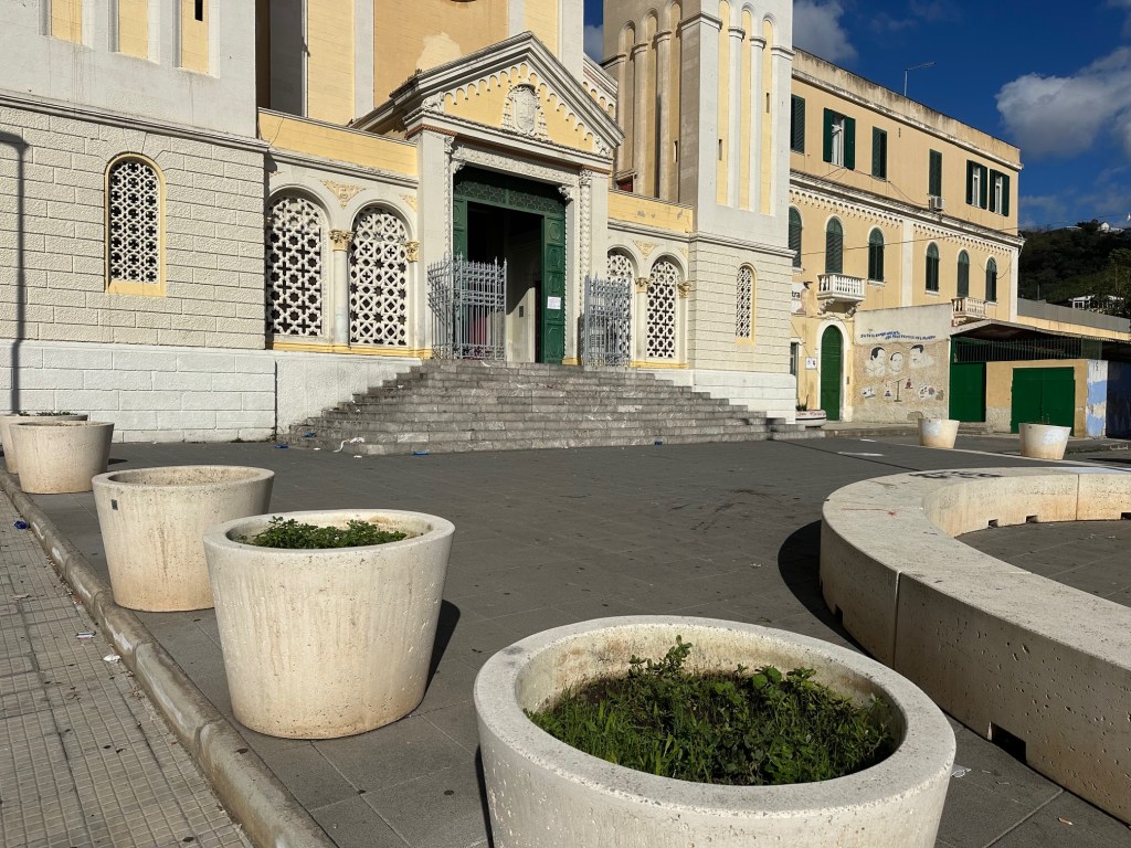 alberelli San Matteo