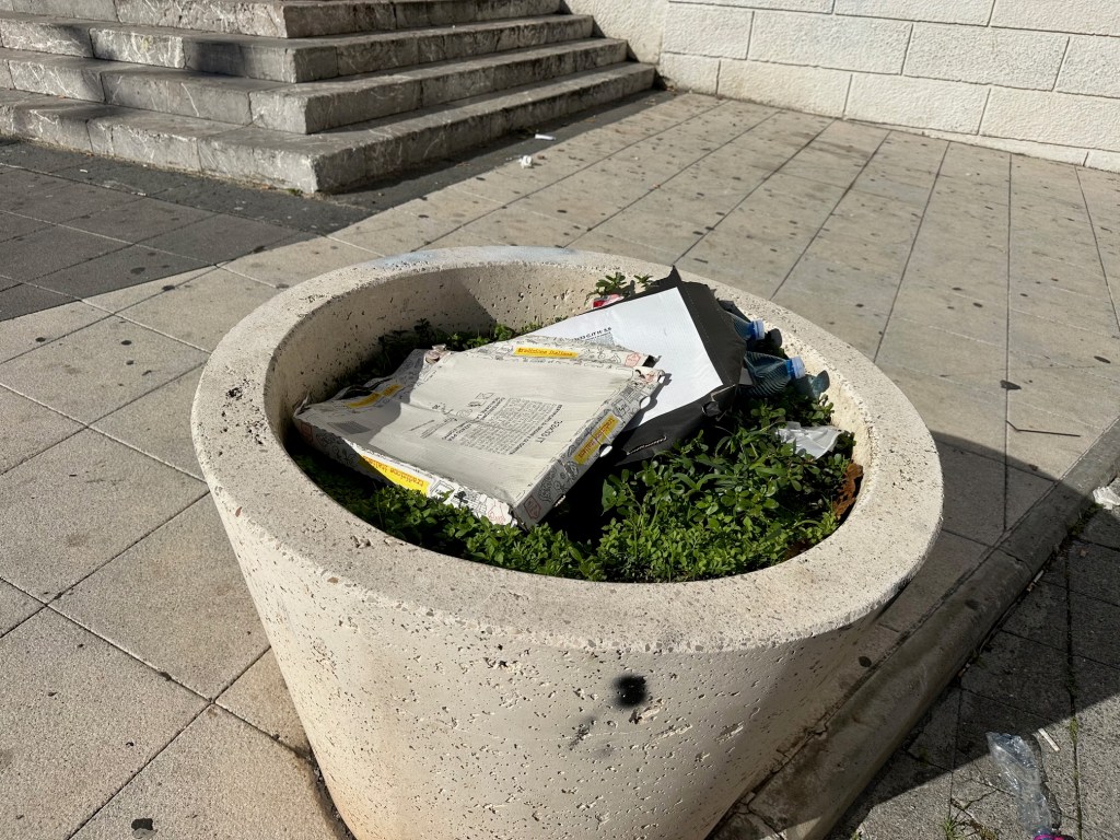 alberelli San Matteo giostra