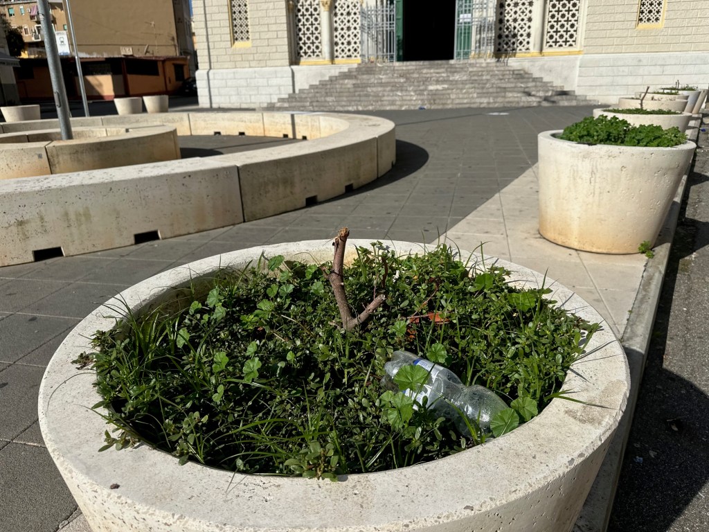 alberelli San Matteo giostra