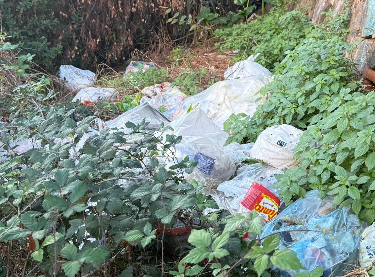 Spazzatura abbandonata