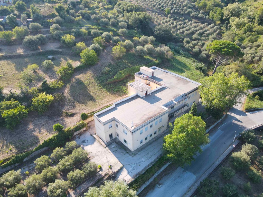 basicò fondazione foti